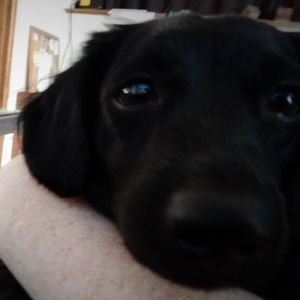 Meet your Posher, Beckie